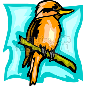 Tropical bird against a teal background