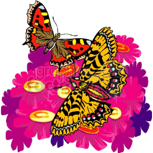 blutterflies on pink flowers clipart. Commercial use image # 130755