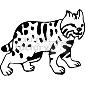 Black and white bob-tailed lynx clipart. Royalty-free image # 130958