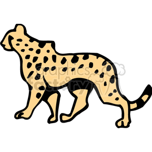 Cheetah walking on all fours clipart.