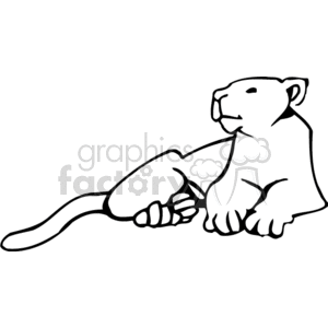 Black and white resting lioness clipart. Royalty-free image # 131052
