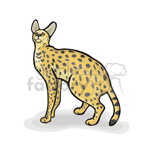 Full body side profile of a serval cat  clipart. Royalty-free image # 131080