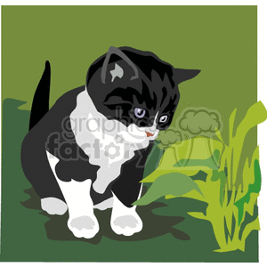 kitten playing in green grass clipart. Royalty-free image # 131126