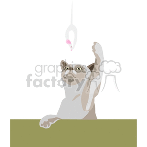 Gray playful cat patting a white mouse on string with its paw clipart.