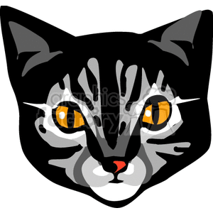 Close-up of gray tabby with orange eyes clipart. Royalty-free image # 131150