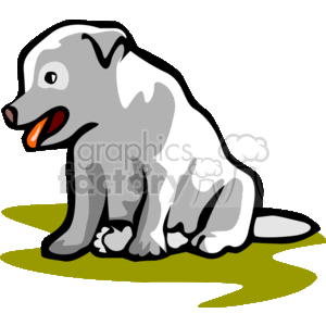 This is a cartoon of a grey/white puppy. It's sitting on grass with its tongue hanging out, looking very content 