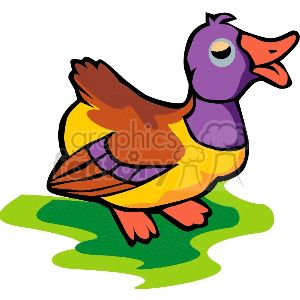 colorful duck  clipart. Commercial use image # 132141