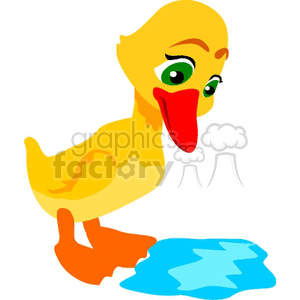 Little duck looking at a puddle of water clipart. Royalty-free image # 132192
