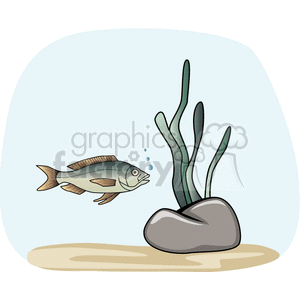 underwater clipart. Commercial use image # 132232