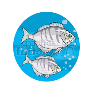 gray fish underwater clipart. Royalty-free image # 132479