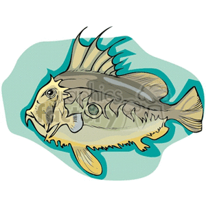 fish233
