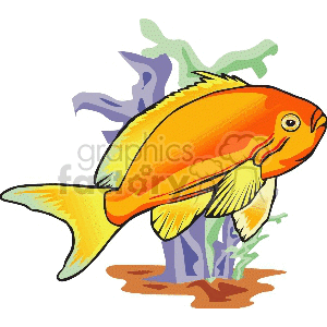 golffish clipart. Commercial use image # 132624