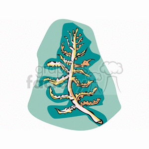 seaweed clipart. Commercial use image # 132690