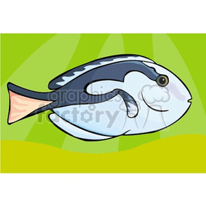 surgeonfish clipart. Royalty-free image # 132703