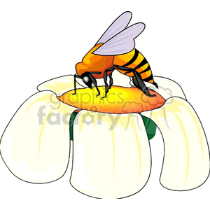   insect insects bee bees bug bugs  animals011.gif Clip Art Animals Insects 