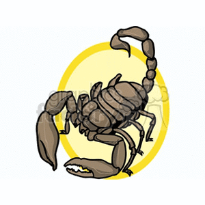crab9 clipart. Royalty-free image # 132993