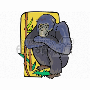 gorilla2 clipart. Royalty-free image # 133217