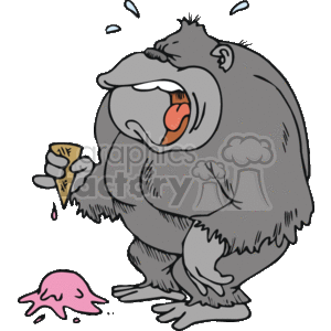 Gorilla crying because he dropped his ice cream