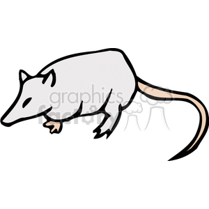   oppossum possum possums opposums rodent rodents animals  BAB0204.gif Clip Art Animals Rodents 