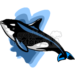 whales whale killer shamu fish fishes ocean animals  1_killer_whale.gif Clip Art Animals Water Going 