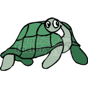 smiling funny green turtle