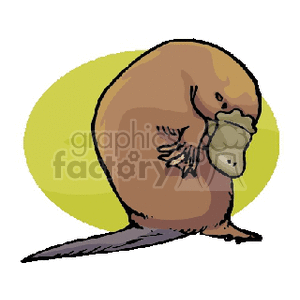 Platypus clipart. Commercial use image # 133613