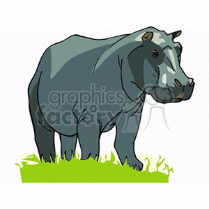 hipo on grassy plains clipart. Royalty-free image # 133631