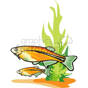small fish large fish and sea weed clipart. Royalty-free image # 133656