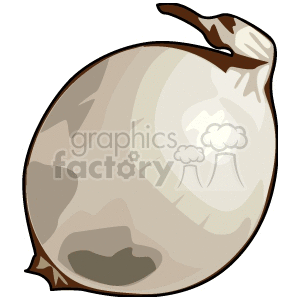 Big white onion  clipart. Commercial use image # 142257