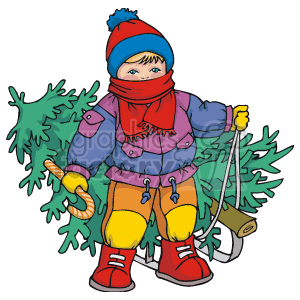 Child pulling a Christmas Tree Bundled in Winter Clothes and Red Scarf