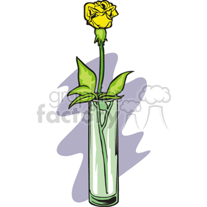 single yellow rose