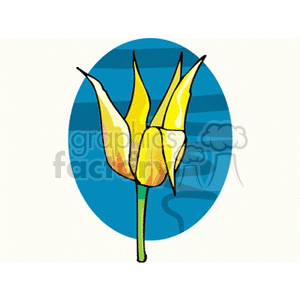 flower33 clipart. Royalty-free image # 151355