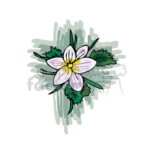 flower42 clipart. Royalty-free image # 151385