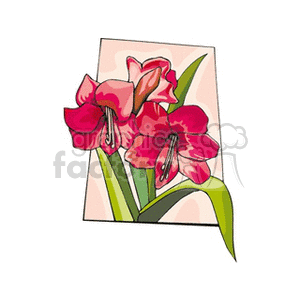 Stalk of crimson lilies clipart. Royalty-free image # 151387