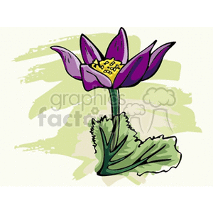 flower44 clipart. Royalty-free image # 151391