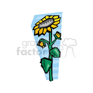 Sunflower clipart. Commercial use image # 151397