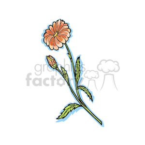 flower51312 clipart. Commercial use image # 151411