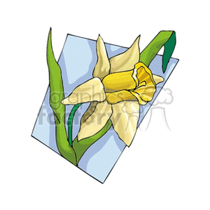 yellow dafodil clipart. Royalty-free image # 151417