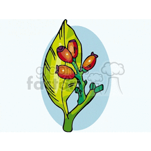 flower63 clipart. Royalty-free image # 151437