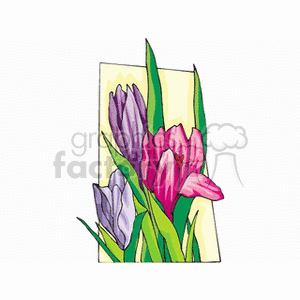 flower761212 clipart. Royalty-free image # 151471