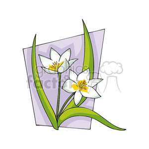 flower81212 clipart. Royalty-free image # 151487