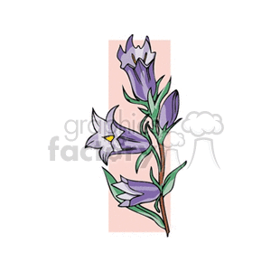 purpleflowers clipart. Royalty-free image # 151578