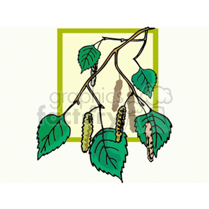 birchbranch1212 clipart. Royalty-free image # 151828
