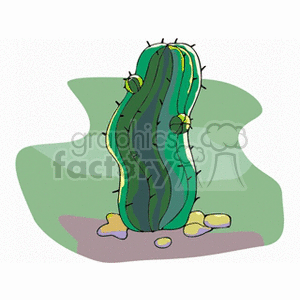 cactus10 clipart. Royalty-free image # 151858