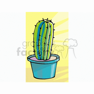   plant plants cactus cactuses  cactus201312.gif Clip Art Nature Plants 