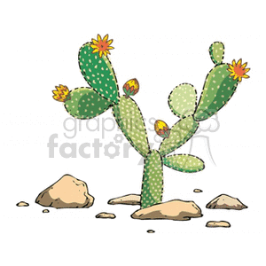   plant plants desert cactus cactuses  cactus321212.gif Clip Art Nature Plants 