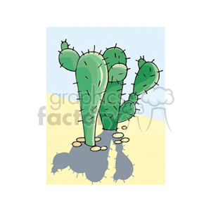   plant plants desert cactus cactuses  cactus41512.gif Clip Art Nature Plants 