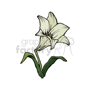   plant plants flower flowers lily lilys  lilly.gif Clip Art Nature Plants 