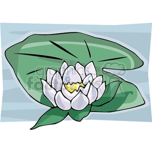 lotus on a lily clipart. Royalty-free image # 152116