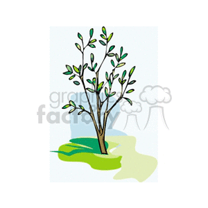 springtree clipart. Commercial use image # 152631